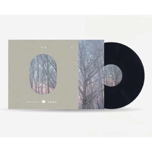 haruka nakamura / 青い森 Ⅱ（LP）