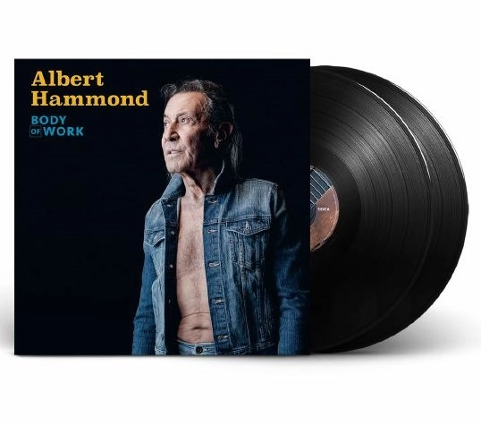 ALBERT HAMMOND / アルバート・ハモンド / BODY OF WORK (2LP)