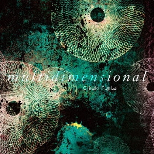 CHIAKI FUJITA / 藤田千章 / multidimensional