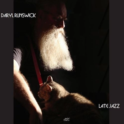 DARYL RUNSWICK / ダリル・ランズウィック / LATE JAZZ (LP)