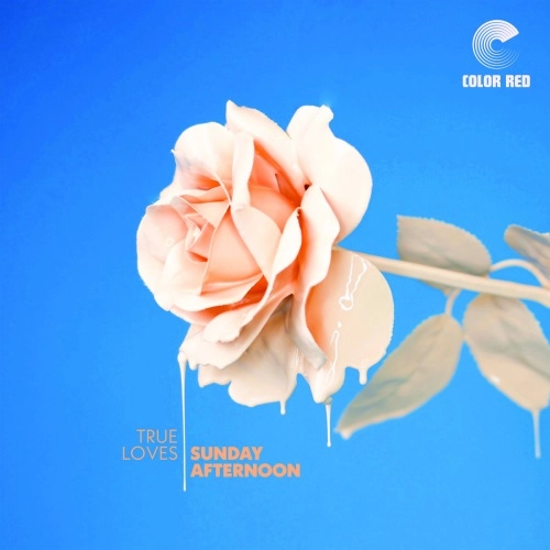 TRUE LOVES / トウルー・ラヴス / SUNDAY AFTERNOON (COLOR VINYL)