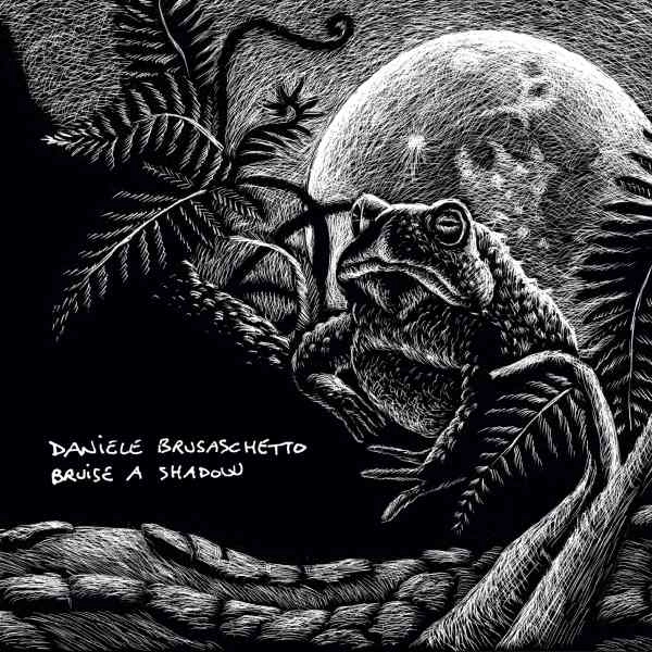 DANIELE BRUSASCHETTO / ダニエーレ・ブルザスケット / ブルーズ･ア･シャドウ＜直輸入盤国内仕様＞ / BRUISE A SHADOW