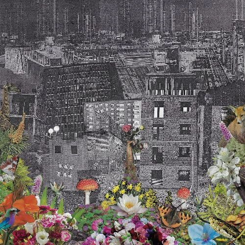BLOODY HEAD / PERPETUAL EDEN