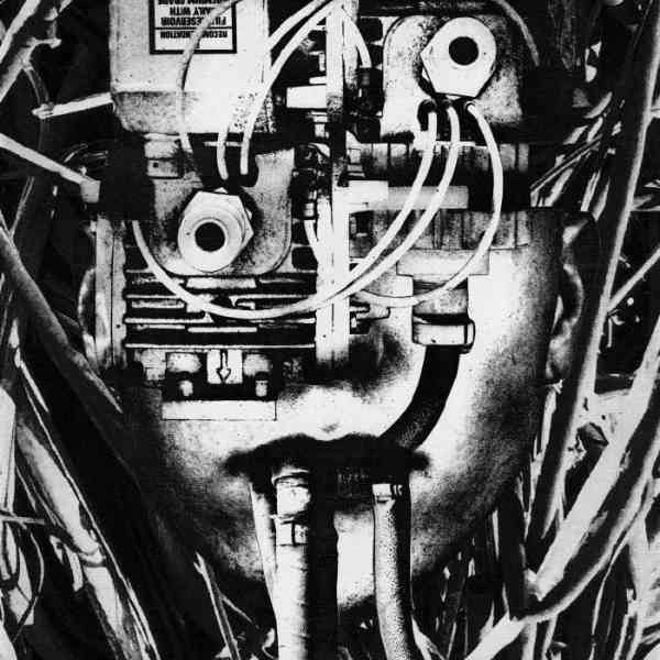 DISSIMULATOR / LOWER FORM RESISTANCE<VINYL>