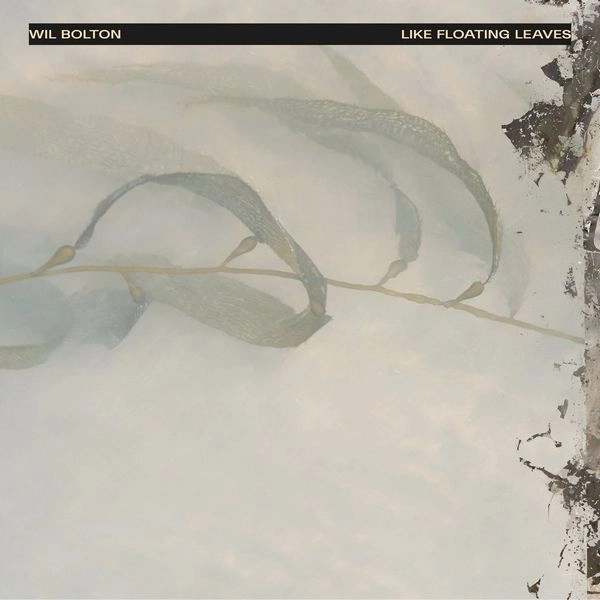 WIL BOLTON / LIKE FLOATING LEAVES (VINYL)