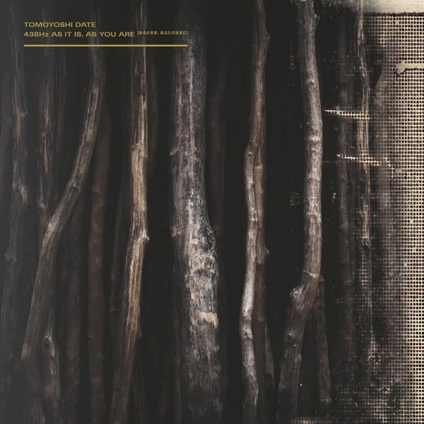 TOMOYOSHI DATE / 438HZ AS IT IS, AS YOU ARE (VINYL)