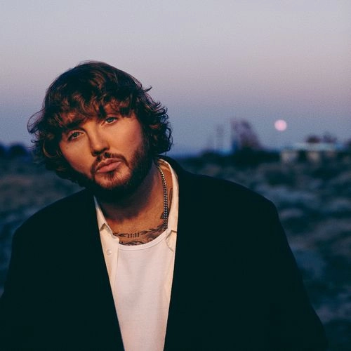 JAMES ARTHUR / ジェームズ・アーサー / BITTER SWEET LOVE / BITTER SWEET LOVE (CD)