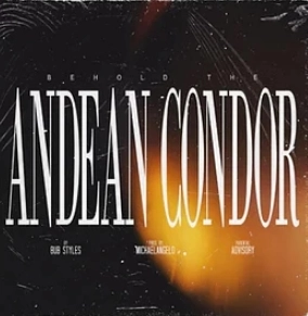 BUB STYLES X MICHAELANGELO / BEHOLD THE ANDEAN CONDOR "LP" (MIXED COLOR VINYL W/OBI)