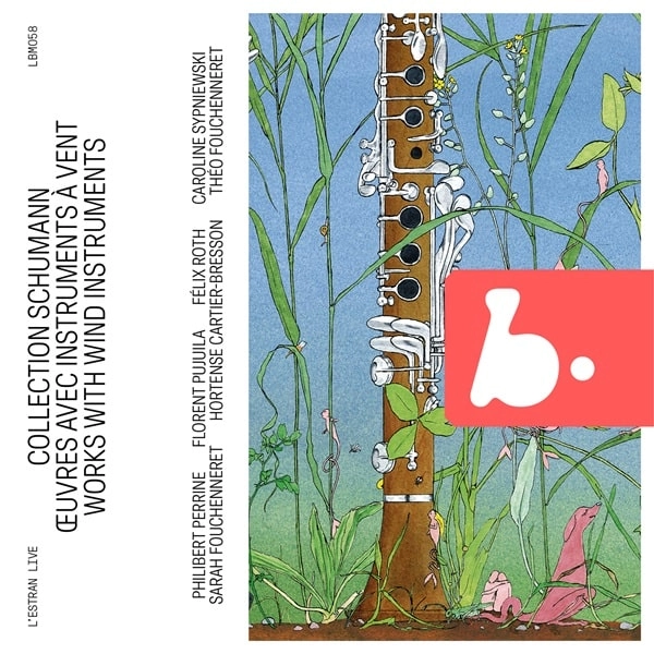 THEO FOUCHENNERET / テオ・フシュヌレ / SCHUMANN WORKS WITH INSTRUMENTS