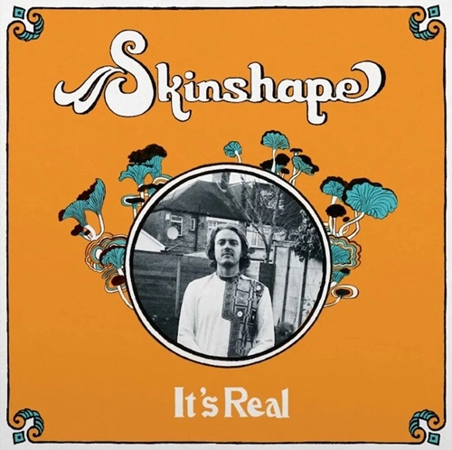 SKINSHAPE / スキンシェイプ / IT'S REAL / AMNESIA