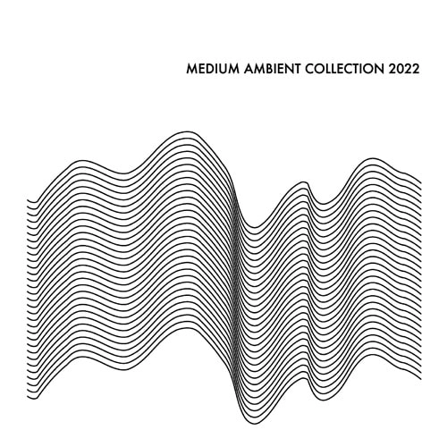 V.A. (MEDIUM) / MEDIUM AMBIENT COLLECTION 2022 WHITE（2LP） / MEDIUM AMBIENT COLLECTION 2022 WHITE(2LP)