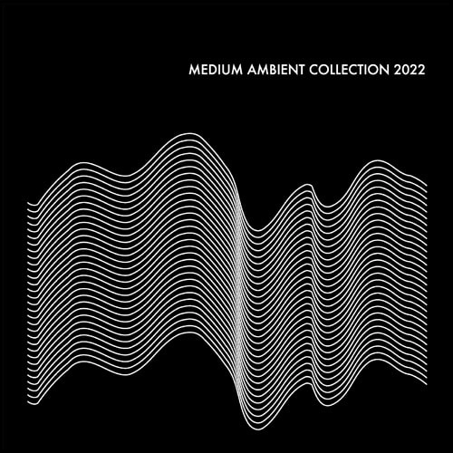 V.A. (MEDIUM) / MEDIUM AMBIENT COLLECTION 2022 BLACK（2LP） / MEDIUM AMBIENT COLLECTION 2022 BLACK(2LP)