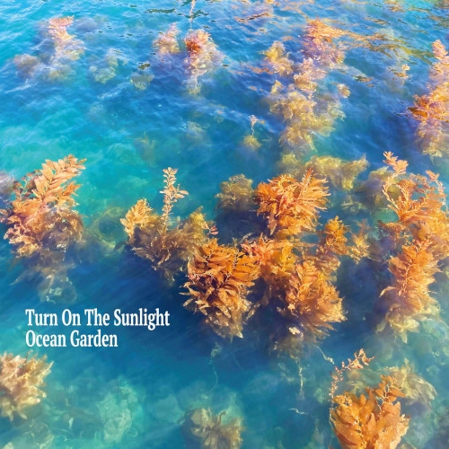 TURN ON THE SUNLIGHT / ターン・オン・ザ・サンライト / Ocean Garden（CD） / Ocean Garden