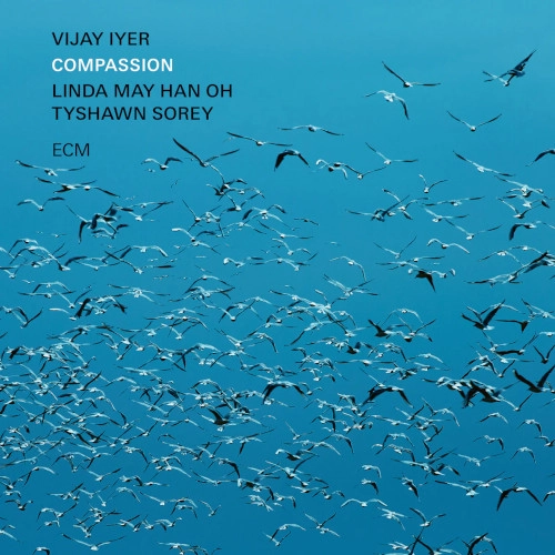 VIJAY IYER / ヴィジェイ・アイヤー / COMPASSION