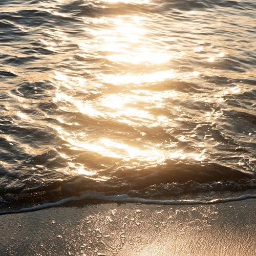 [.que] / Seaglow