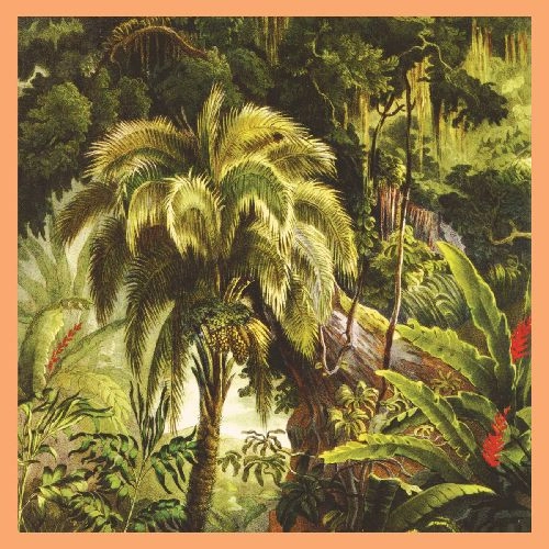 XIU XIU / シュ・シュ / LA FORET (SUNSET SWIRL VINYL)