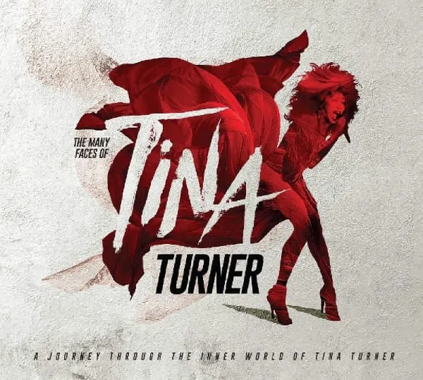 V.A. / MANY FACES OF TINA TURNER
