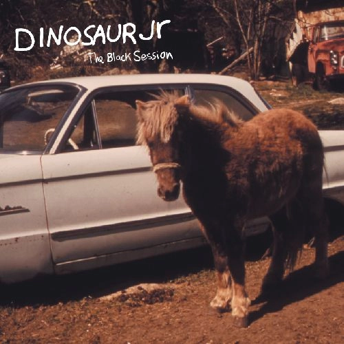 DINOSAUR JR. / ダイナソー・ジュニア / THE BLACK SESSION - LIVE IN PARIS 1993 (12" / COLORED VINYL)