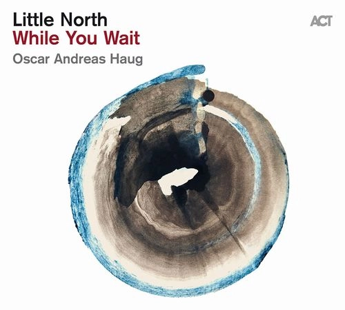 LITTLE NORTH / リトル・ノース / WHILE YOU WAIT (LP)