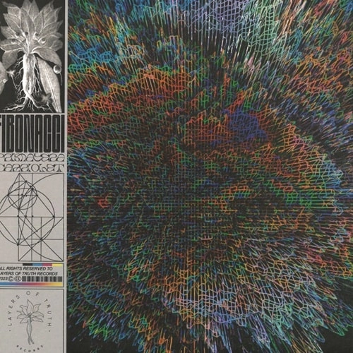 FIBONACCI / PANORAMA 1986