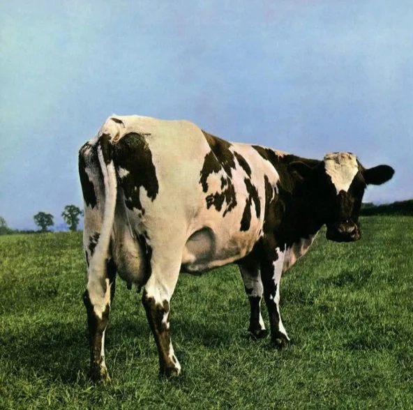 PINK FLOYD / ピンク・フロイド / ATOM HEART MOTHER