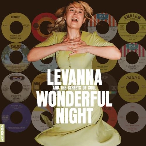 V.A. (WONDERFUL NIGHT CURATED BY LEVANNA) / WONDERFUL NIGHT CURATED BY LEVANNA