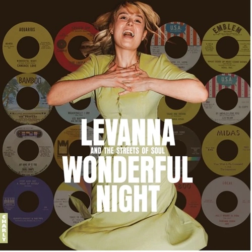 V.A. (WONDERFUL NIGHT CURATED BY LEVANNA) / WONDERFUL NIGHT CURATED BY LEVANNA