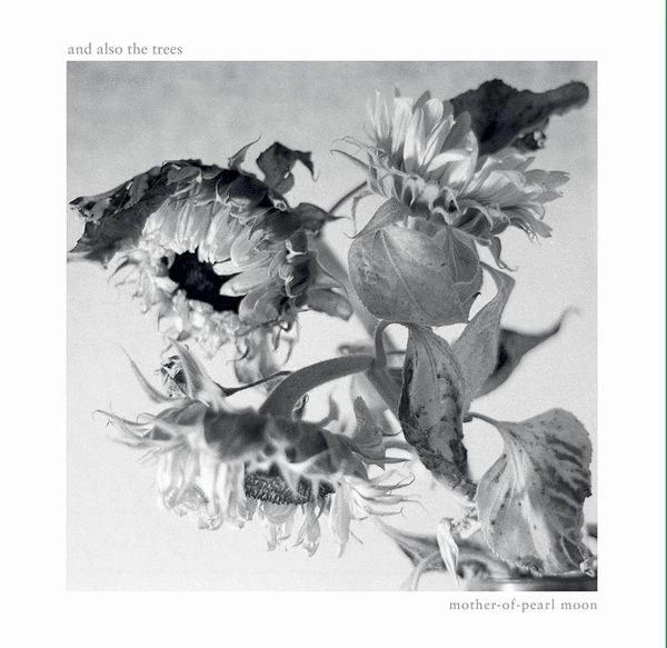 AND ALSO THE TREES / アンド・オールソー・ザ・ツリーズ / MOTHER-OF-PEARL MOON (LP)