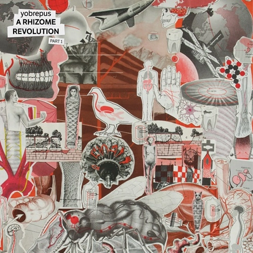 YOBREPUS / A RHIZOME REVOLUTION PART 1