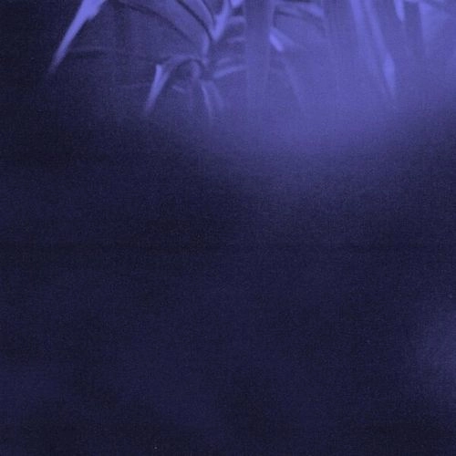 ASRA / NOCTURNAL JOURNEY (LP)
