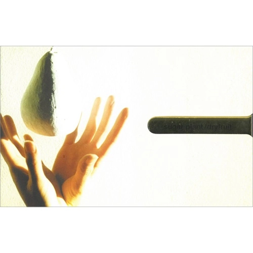 sugar plant / dryfruit (2018 Remaster)