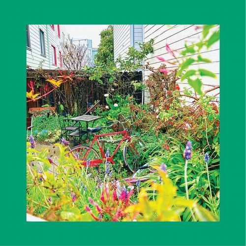 REDS, PINKS AND PURPLES / UNWISHING WELL (CD)