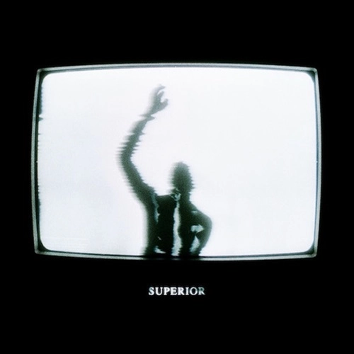 Lillies and Remains / Superior（LP）