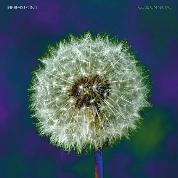 BEVIS FROND / ベヴィス・フロンド / FOCUS ON NATURE (CD)