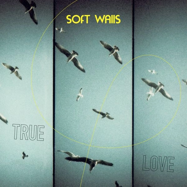 SOFT WALLS / TRUE LOVE