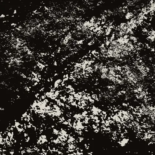 MARK FELL & RIAN TREANOR / LAST EXIT TO CHICKENLEY (2LP)