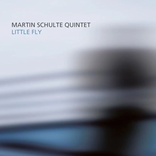 MARTIN SCHULTE / LITTLE FLY