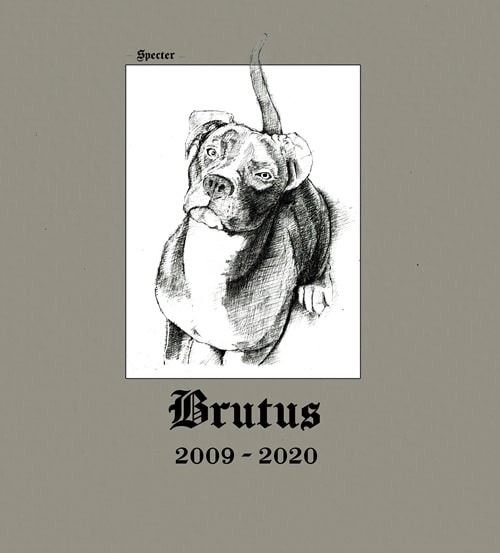 SPECTER (CHICAGO) / スペクター / BRUTUS (2LP VINYL)