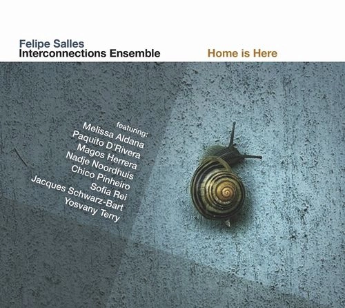 FELIPE SALLES / HOME IS HERE