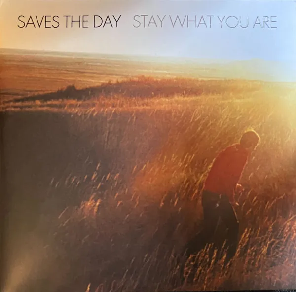 SAVES THE DAY / セイヴス・ザ・デイ / STAY WHAT YOU ARE