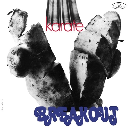 BREAKOUT (POLAND) / KARATE
