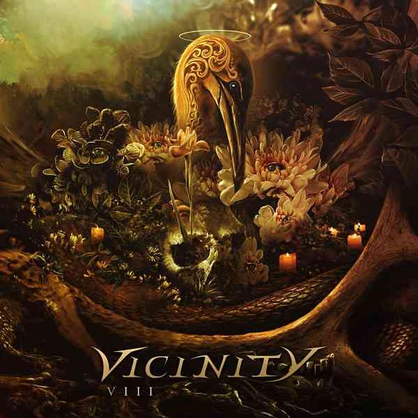 VICINITY / VIII (VINYL)