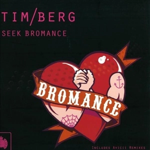 TIM/BERG / SEEK BROMANCE