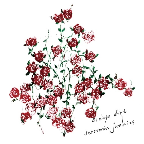 sleep dirt (PUNK) / serotonin junkies
