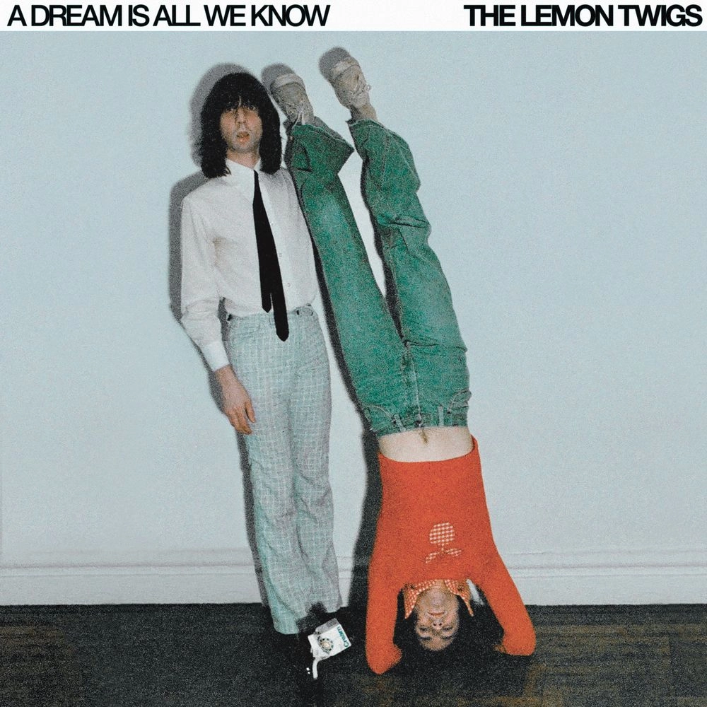 LEMON TWIGS / レモン・ツイッグス / A DREAM IS ALL WE KNOW (LP - ICE CREAM)