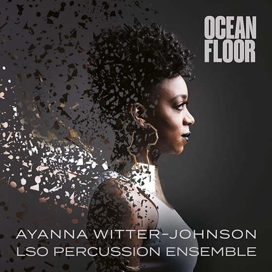GWILYM SIMCOCK / ギレルモ・シムコック / AYANNA WITTER-JOHNSON:OCEAN FLOOR SUITE (LP)