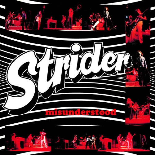 STRIDER / ストライダー / MISUNDERSTOOD
