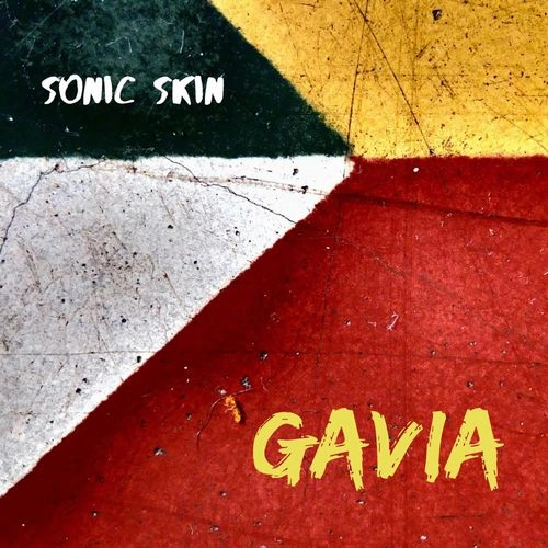 SONIC SKIN / ソニック・スキン / GAVIA