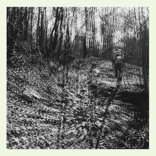 TOPOGRAPHIES / INTERIOR SPRING (VINYL)