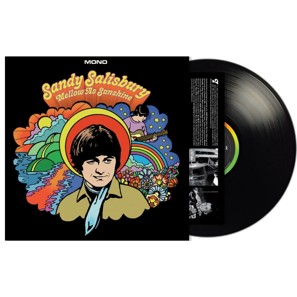 SANDY SALISBURY / サンディ・サルスベリー / MELLOW AS SUNSHINE (LP)